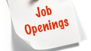 job_openings_icon